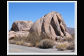 Impressionen 7 Joshua Tree (7).jpg